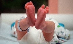 1200 ولادت در شهرستان گناوه ثبت شد